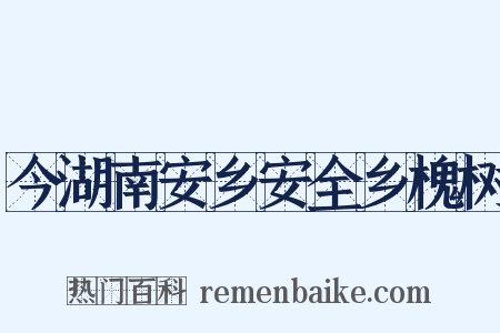 今湖南安乡安全乡槐树是什么意思的图片